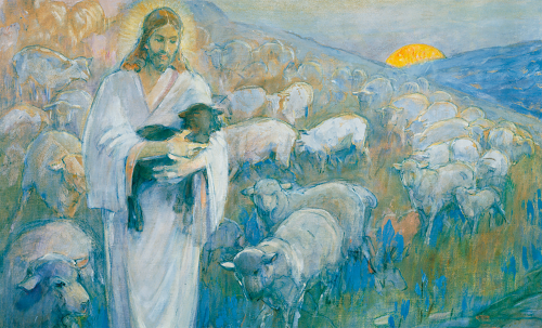 耶稣牧羊图片