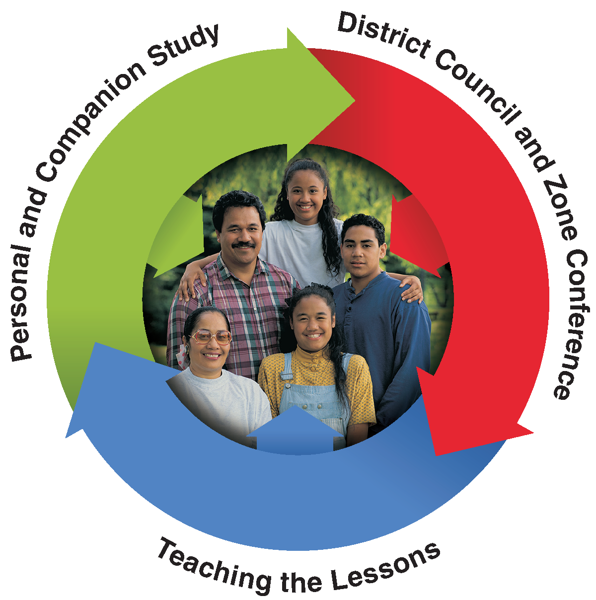 study cycle
