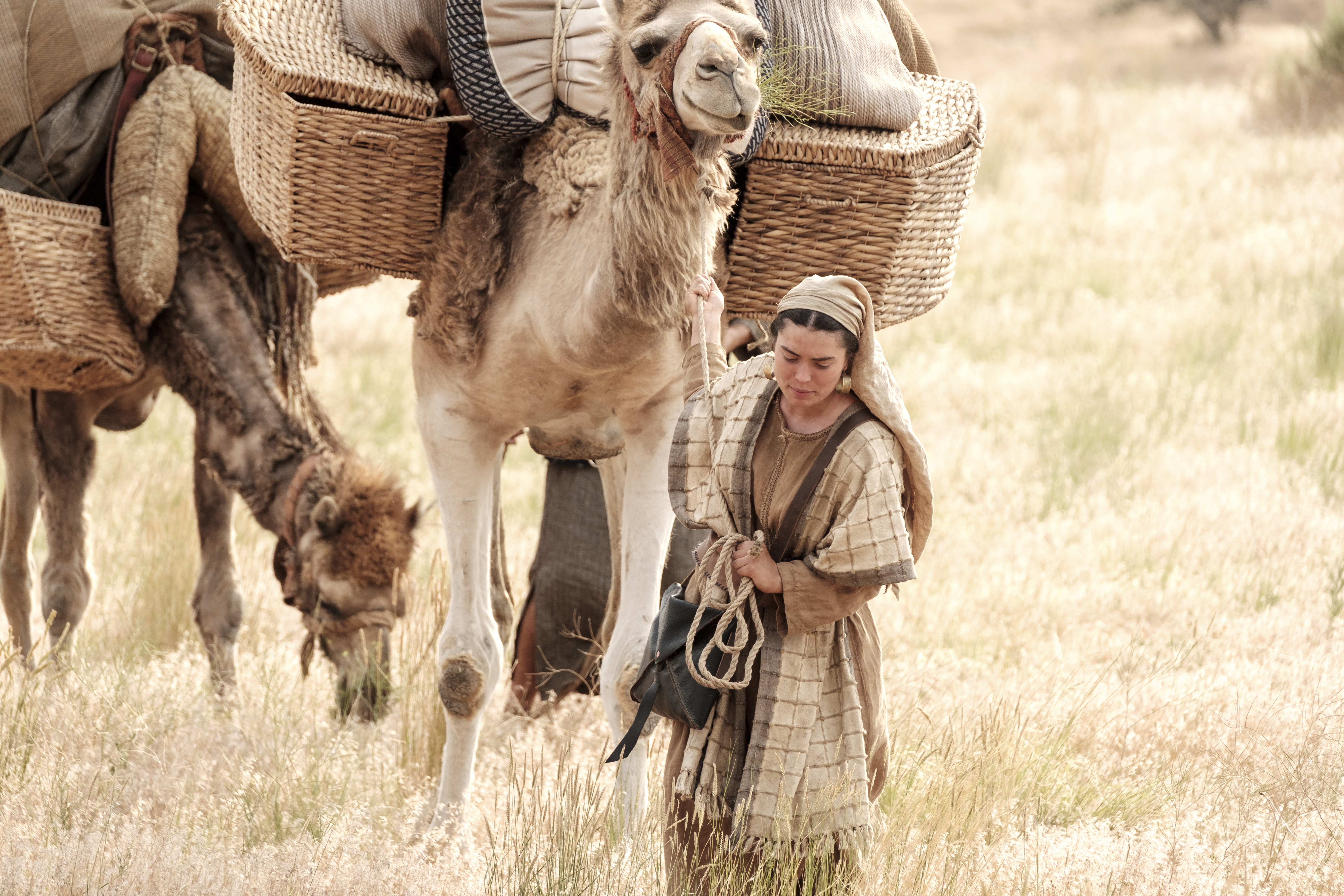 A daughter of Ishmael leading a camel in the wilderness.