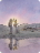 New Testament Stories
