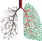 Tree Lungs
