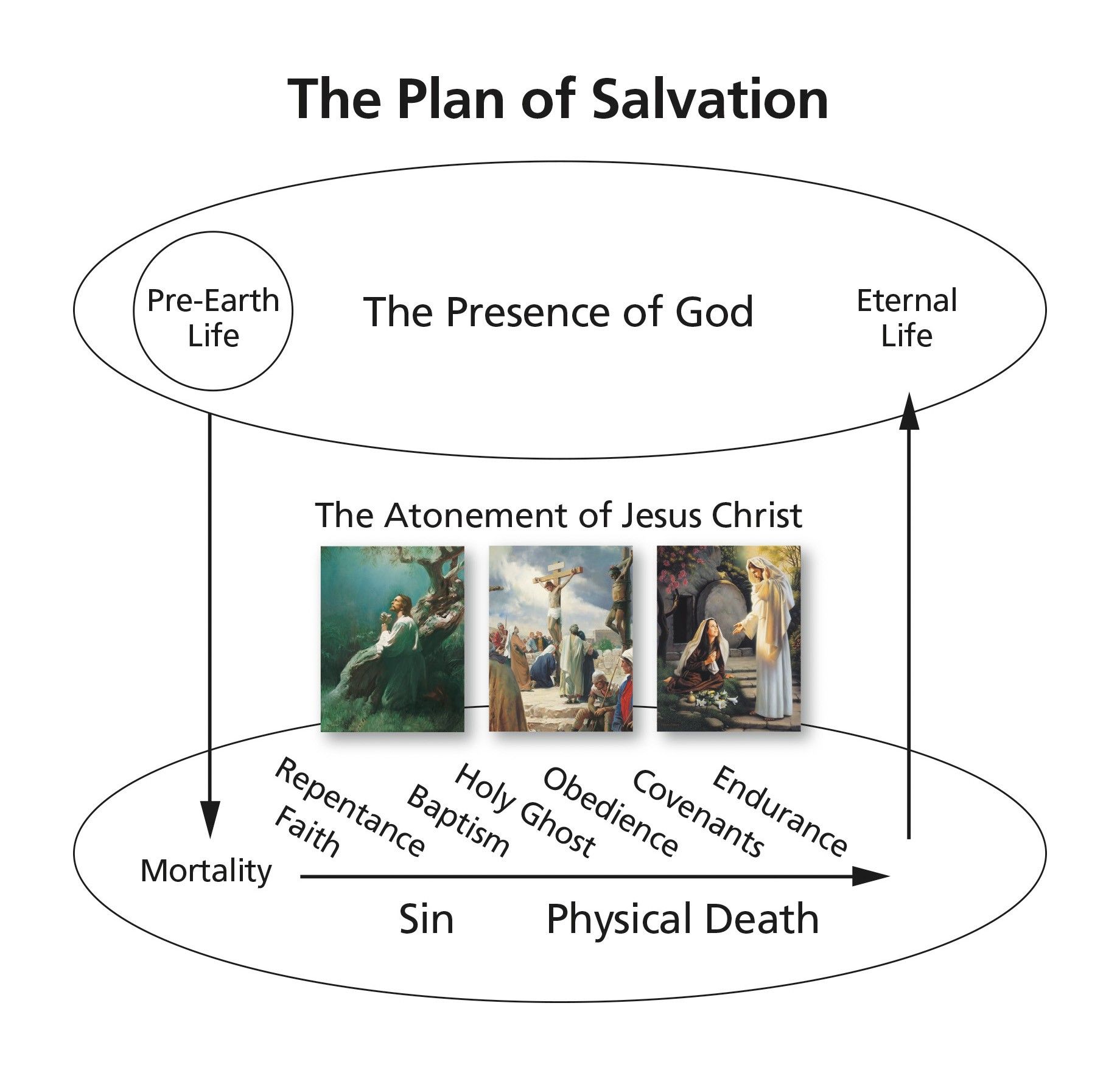 The Plan Of Salvation—4