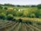 Martin Harris Farm, The