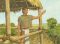 Book of Mormon stories