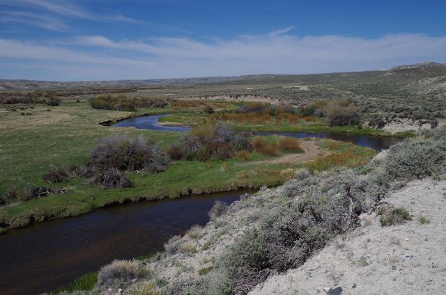 The River, the Hollow, and the Cove