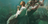 Jesus praying in Gethsemane