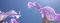 Flowers and ornamental plants