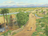 road into Zarahemla