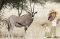 Oryx