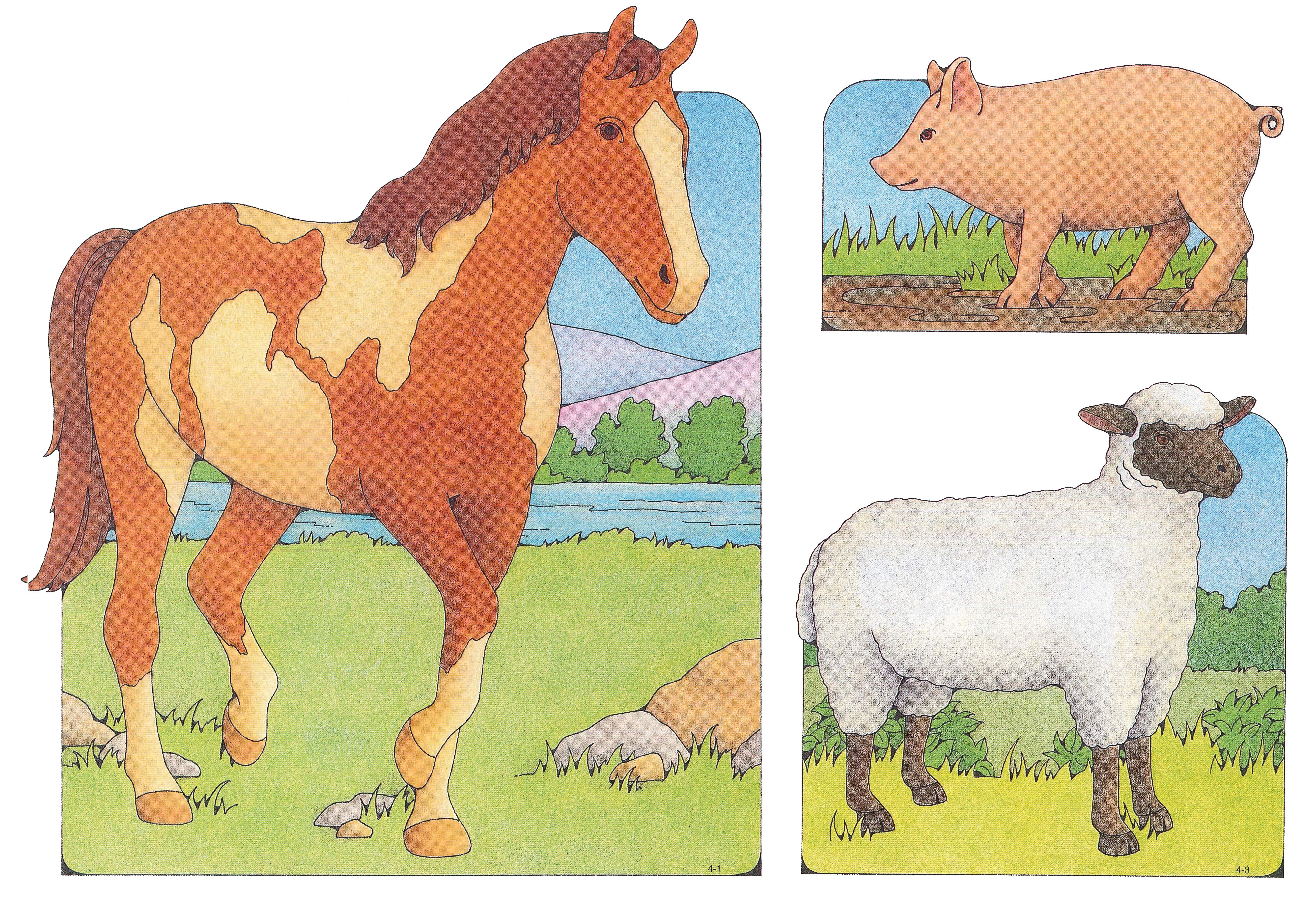 Primary Visual Aids Cutouts 4 1 Horse 4 2 Pig 4 3 Sheep