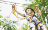 little boy on a zipline