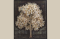 Tree of life