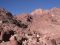 desert landscape