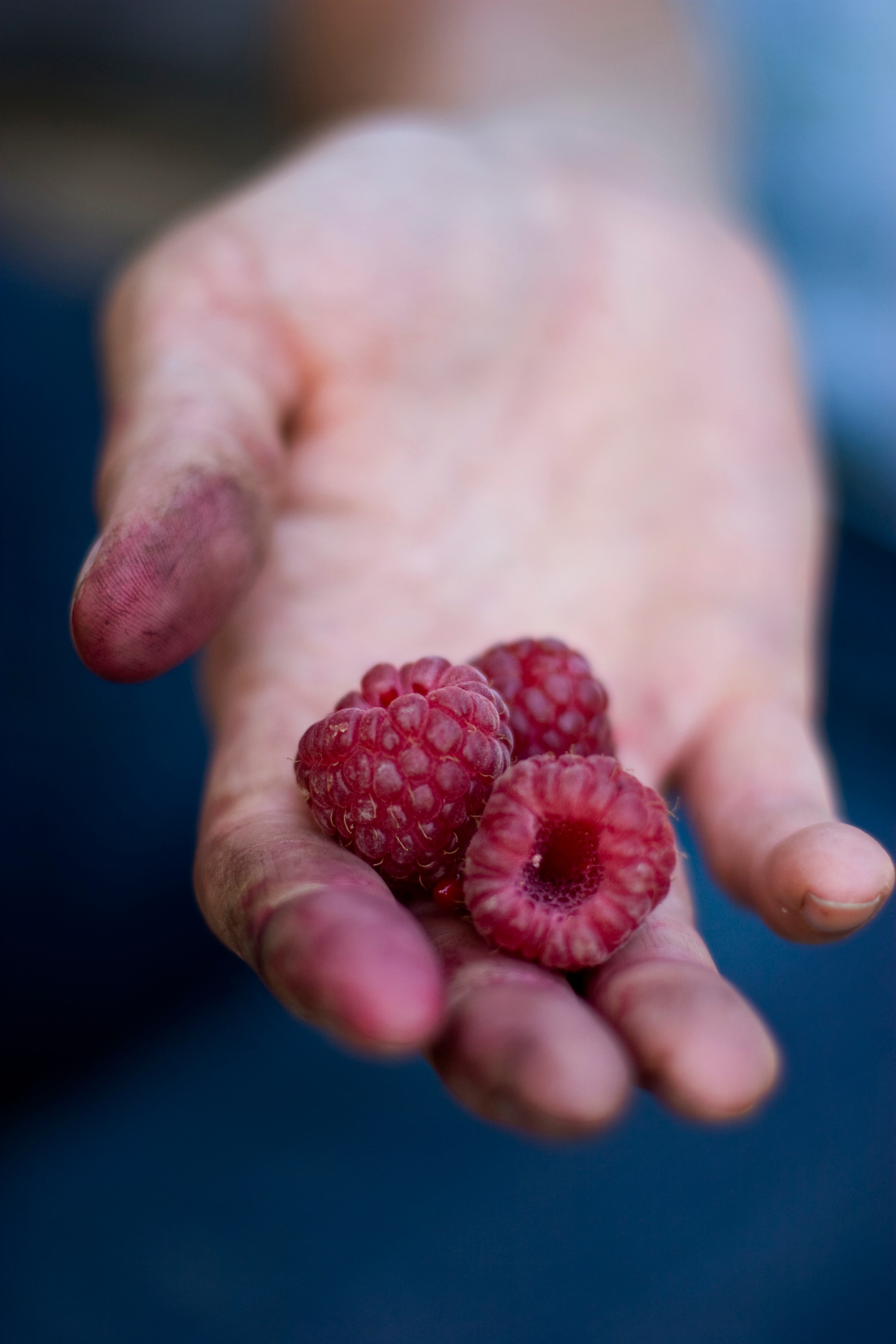 Raspberries