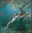 Christ in Gethsemane