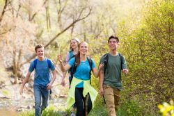 Friends walk a forested path seeing evidence of God's hand in nature