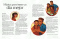 Liahona Magazine, 2020/03 Mar