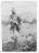 Sower, The