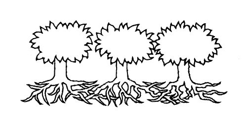 Trees