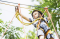 Adventure parks