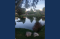 Pond