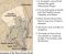 New Testament Student Manual : Religion 211-212