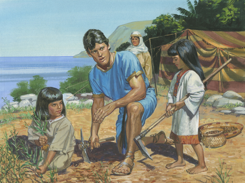 planting seeds