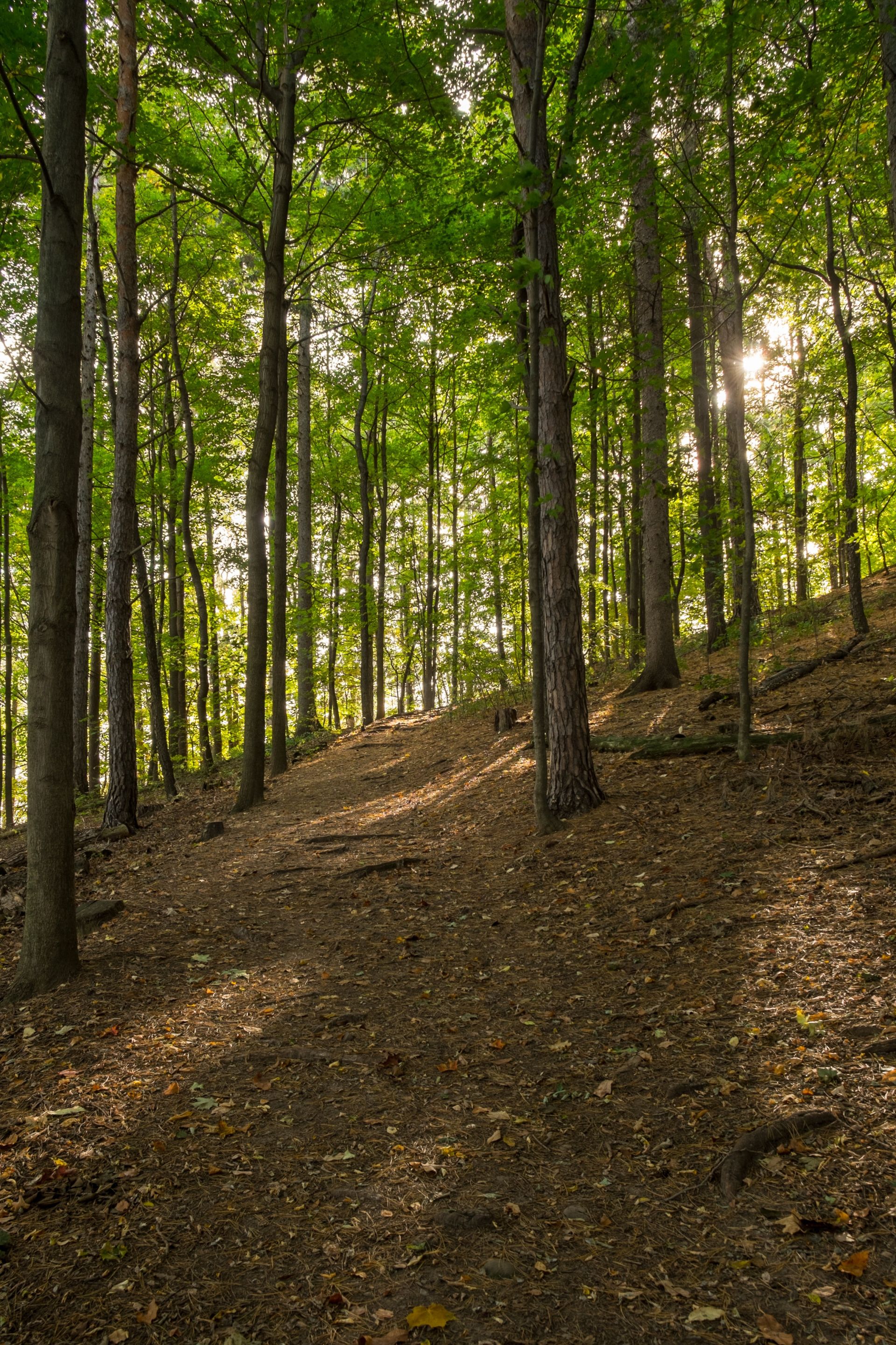 New York Historic Sites