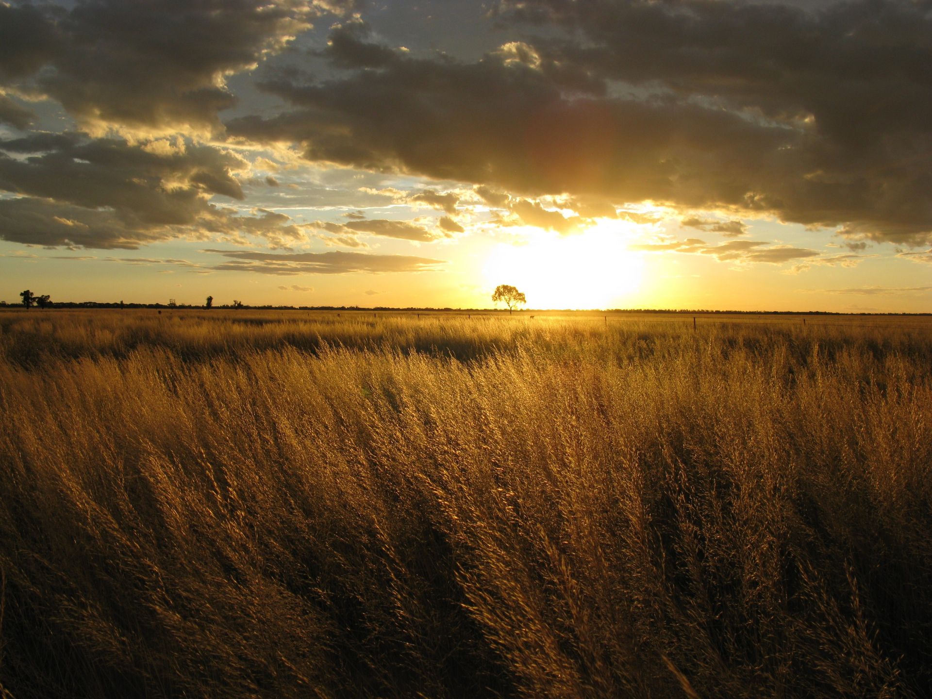 Sunset in Australia