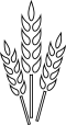 Wheat