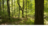 Priesthood restoration site