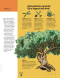 Liahona Magazine, 2020/03 Mar