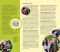 Liahona Magazine, 2017/10 Oct