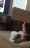 Sammie Watching Conference