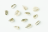 seeds