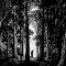 Joseph Smith Papers Podcast: Episode 4: “A Pillar of Light”