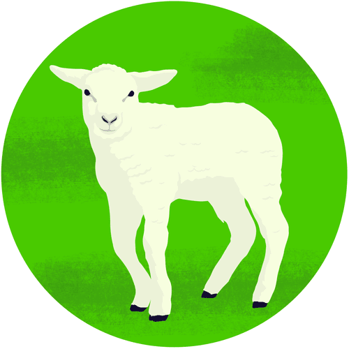 A Lamb