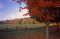 Joseph Smith Farm