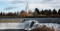 Idaho Falls Idaho Temple