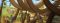 Old Testament Stories: Noah and His Family