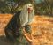 Old Testament Stories