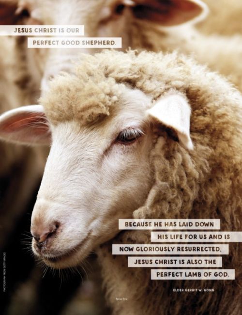 are jesus as the good shepherd of the sheep