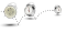 clock face and clock back
