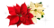 Ten Symbols of Christmas