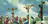 The Crucifixion