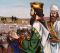 Old Testament Stories