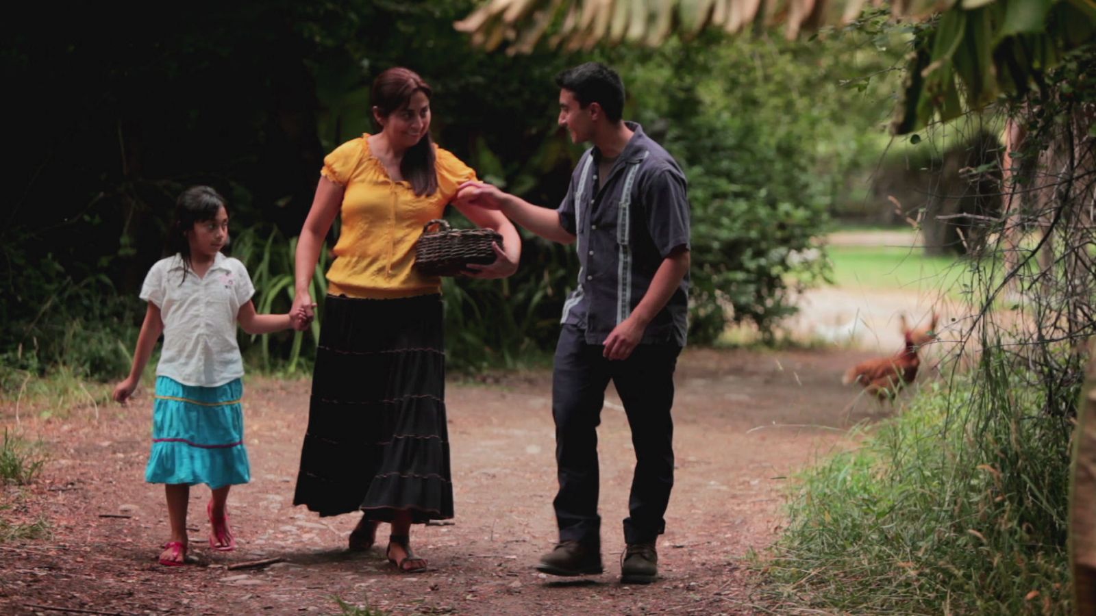 Don’t Kill the Chickens Part III