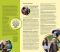 Liahona Magazine, 2017/10 Oct