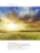 wheat field