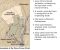 New Testament Student Manual : Religion 211-212